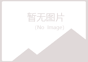 青山区迷失建筑有限公司